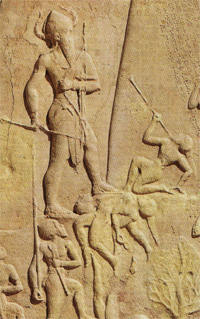 Stele Ritual Dysfunction Stele Ritual Dysfunction